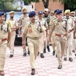 dgp