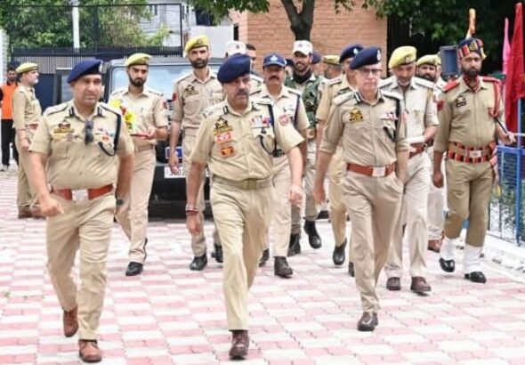 dgp